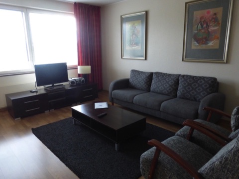Hotel Inari apartment living room
